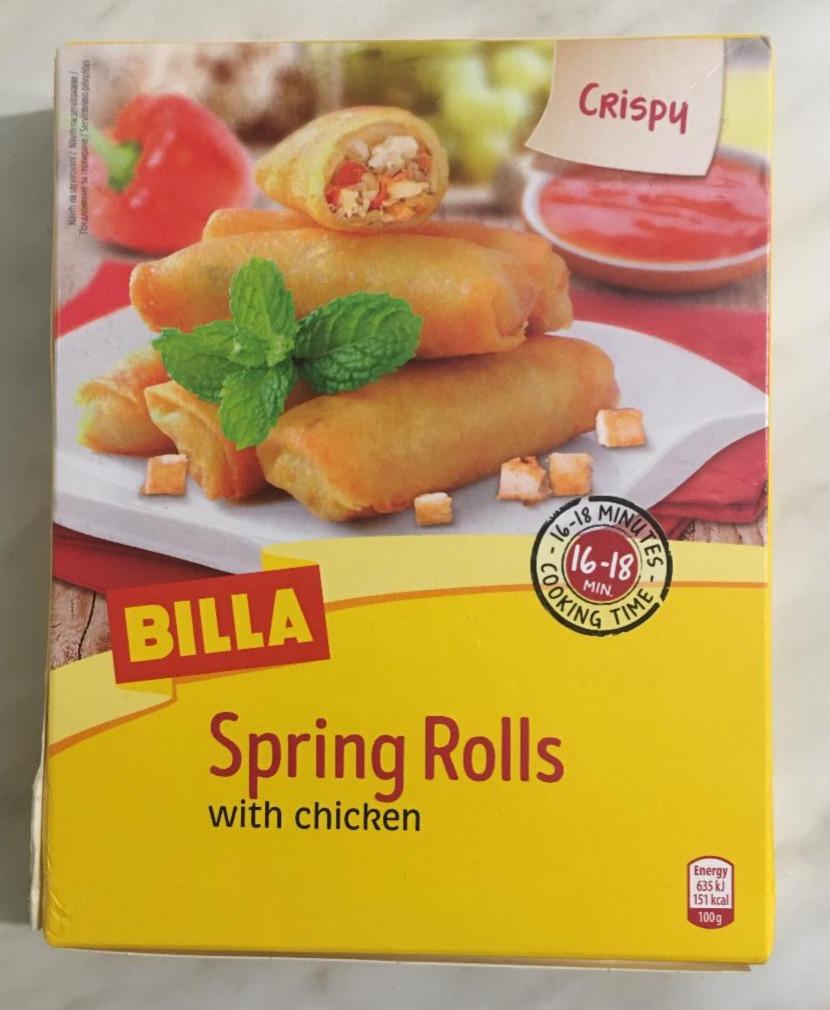 Fotografie - Spring Rolls with chicken Billa