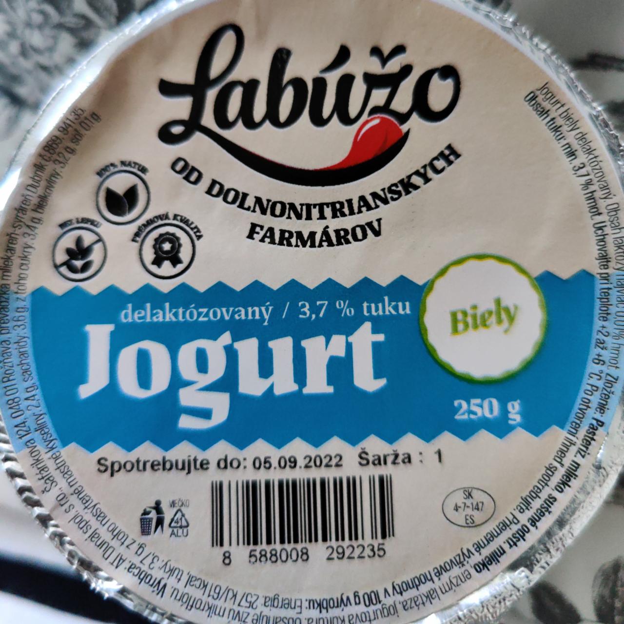 Fotografie - Delaktózovaný jogurt Biely 3,7% tuku Labúžo