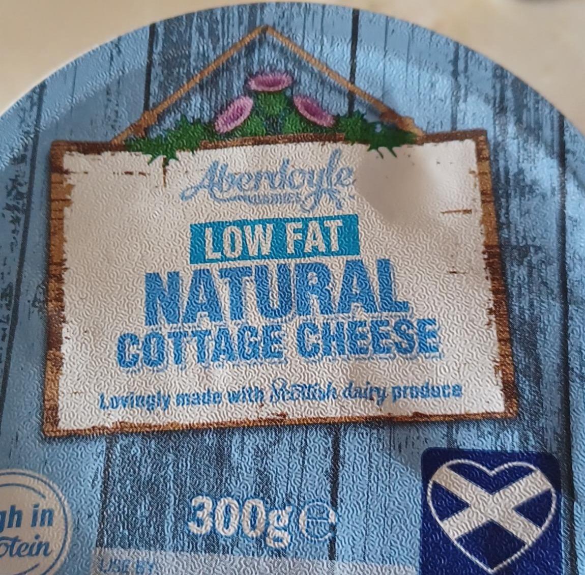 Fotografie - Natural cottage cheese Aberdoyle Daires