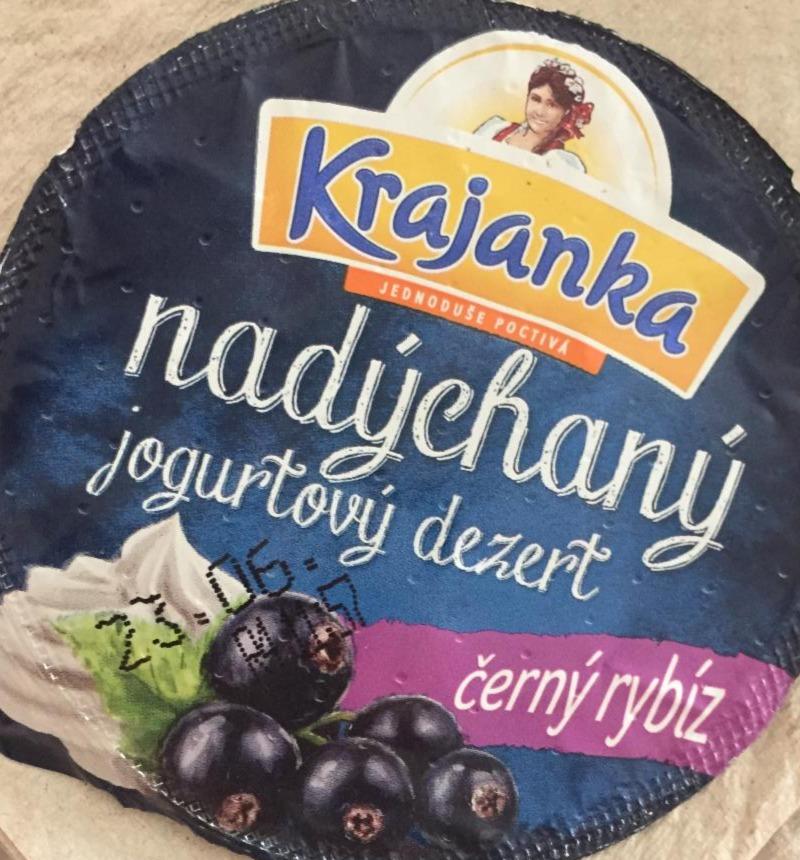 Fotografie - Krajanka nadýchaný jogurtový dezert černý rybíz