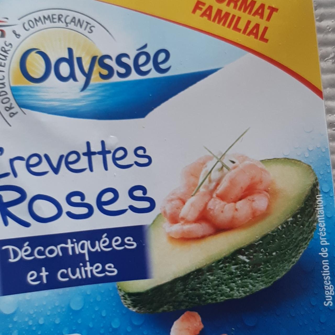 Fotografie - Crevettes Roses Odyssée