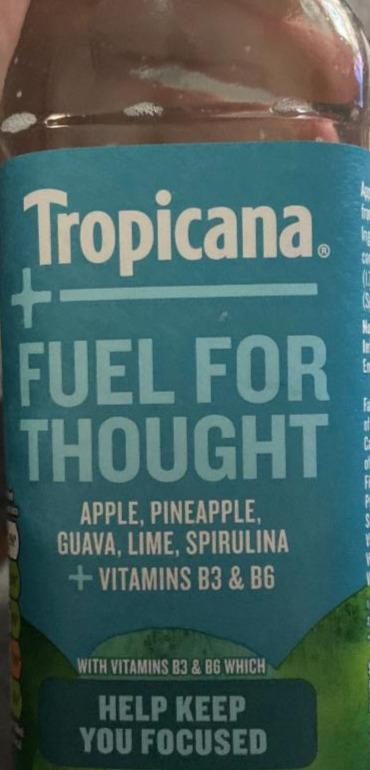 Fotografie - Fuel for Thought Tropicana