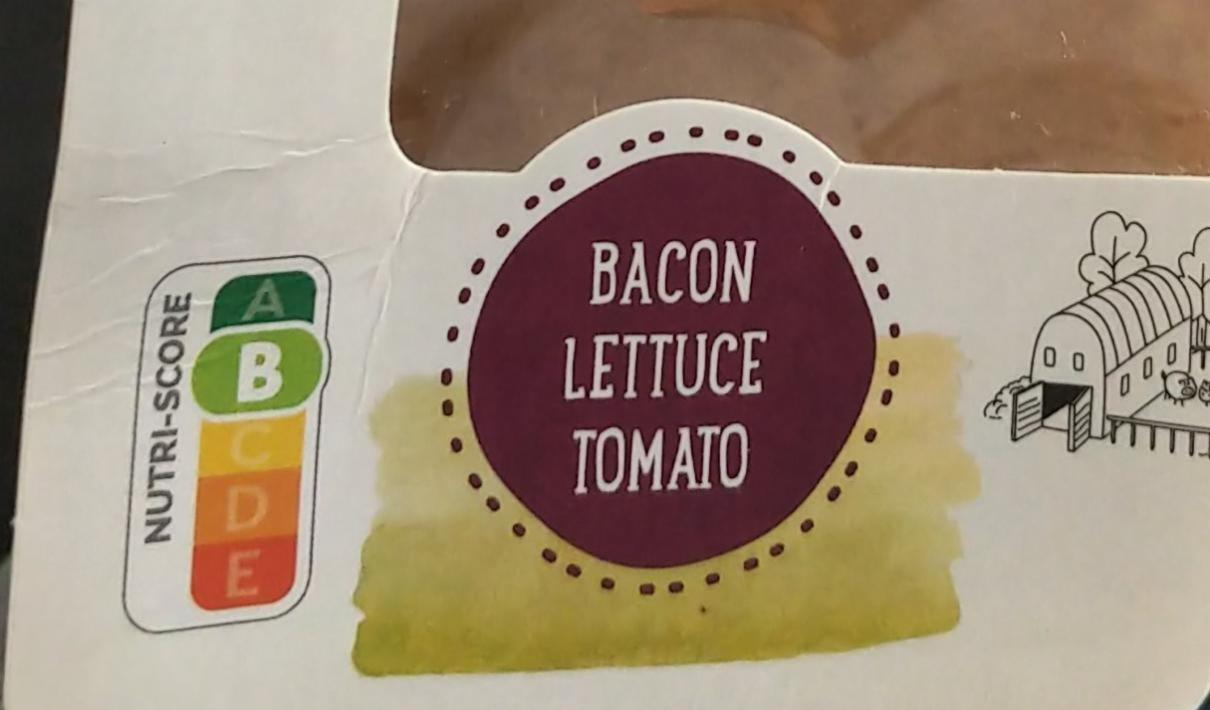 Fotografie - Sandwich Bacon Lettuce tomato Natsu