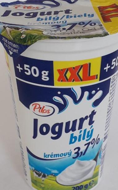 Fotografie - jogurt bílý krémový 3,7% Pilos