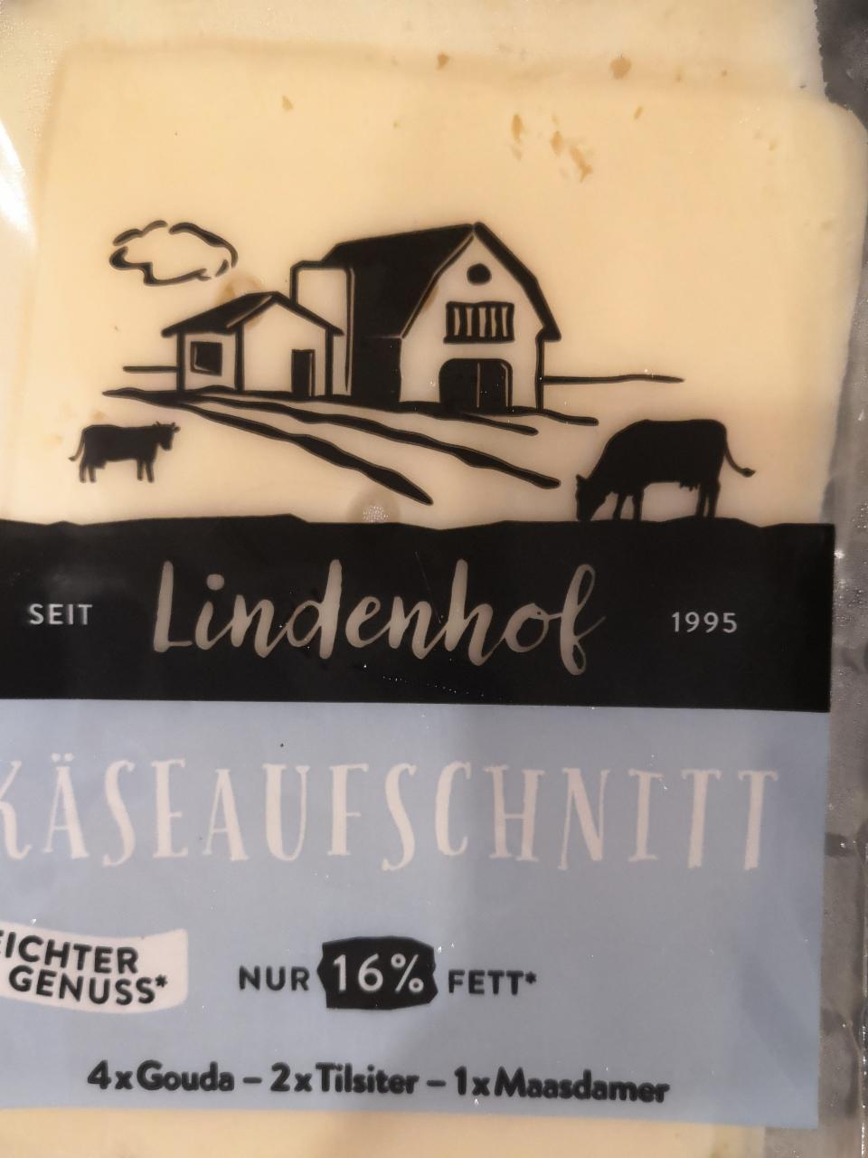 Fotografie - Kaseaufschnitt 16% fett Lindenhof