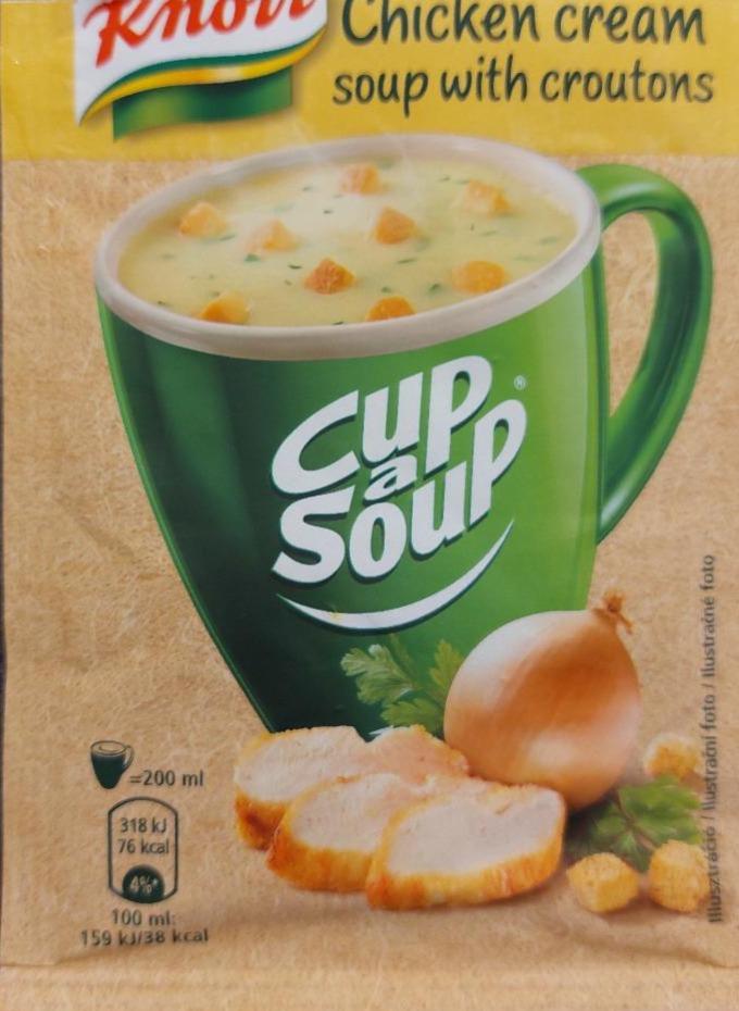 Fotografie - Chicken cream soup with croutons Knorr
