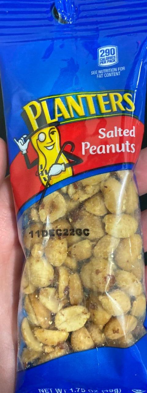 Fotografie - Salted Peanuts Planters