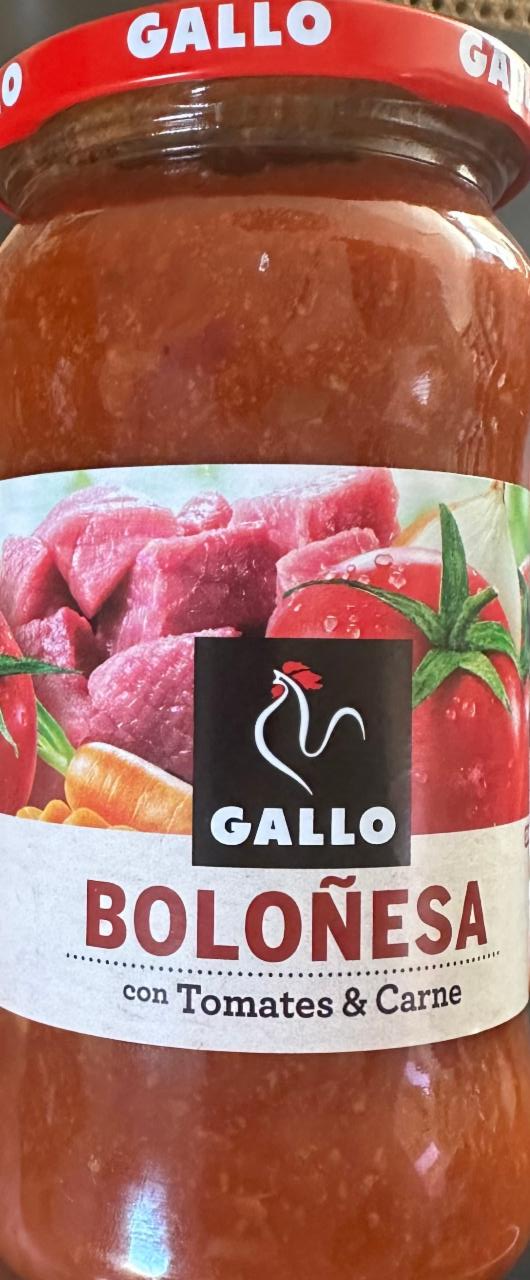Fotografie - GALLO Boloñesa con tomates & carne