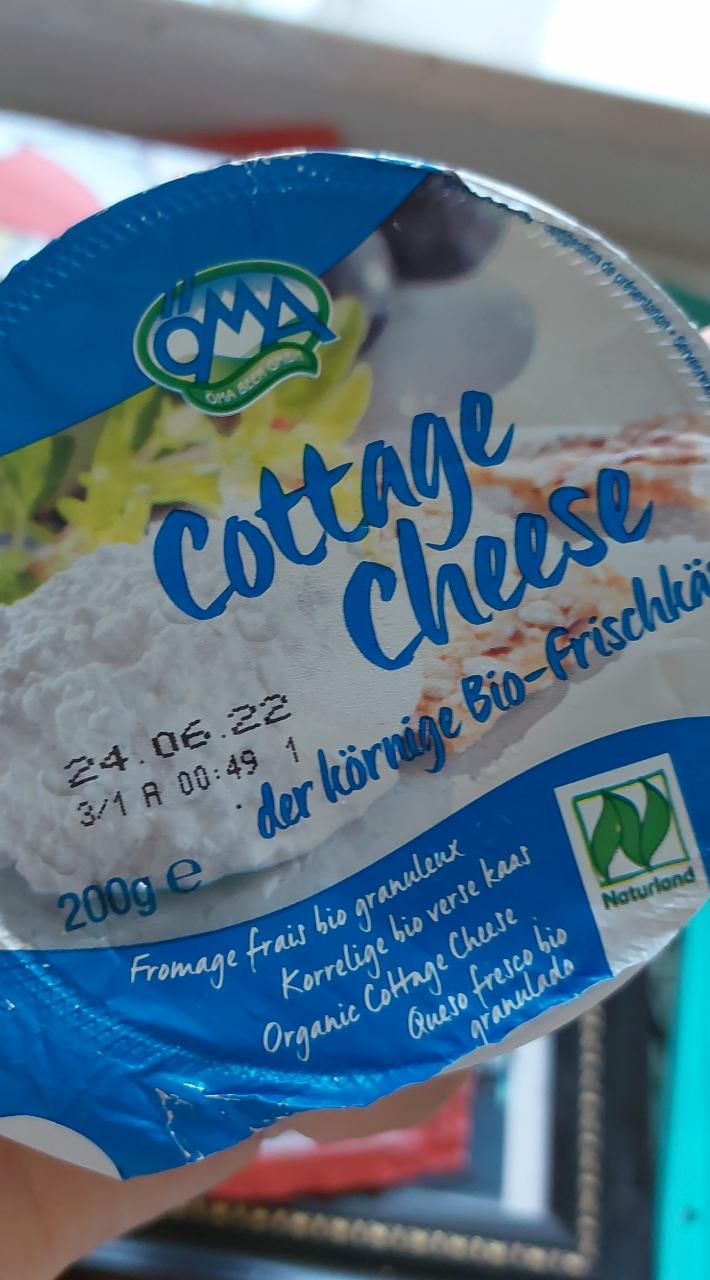Fotografie - Cottage cheese Bio Körniger Frischkäse