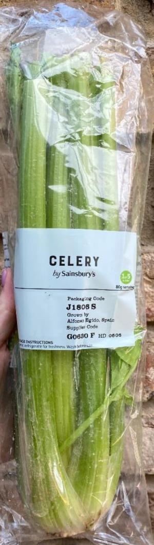 Fotografie - Celery by Sainsbury’s