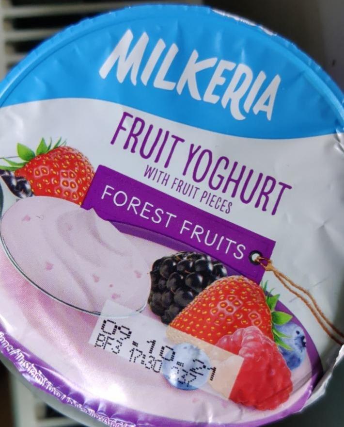 Fotografie - Fruit Yoghurt Forest Fruits Milkeria