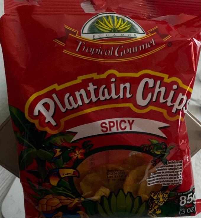 Fotografie - Plantain Chips Spicy Tropical Gourmet