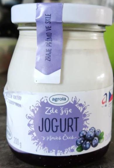 Fotografie - jogurt borůvka Agrola