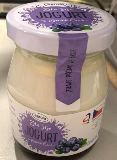 Fotografie - Zde žije jogurt z jižních Čech borůvkový Agro-la