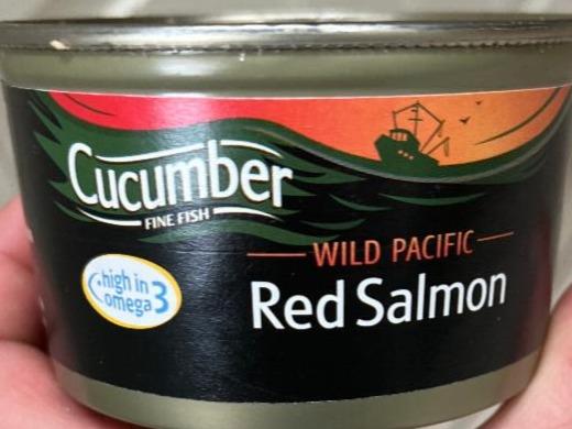 Fotografie - Wild Pacific Red Salmon Cucumber Fine Fish