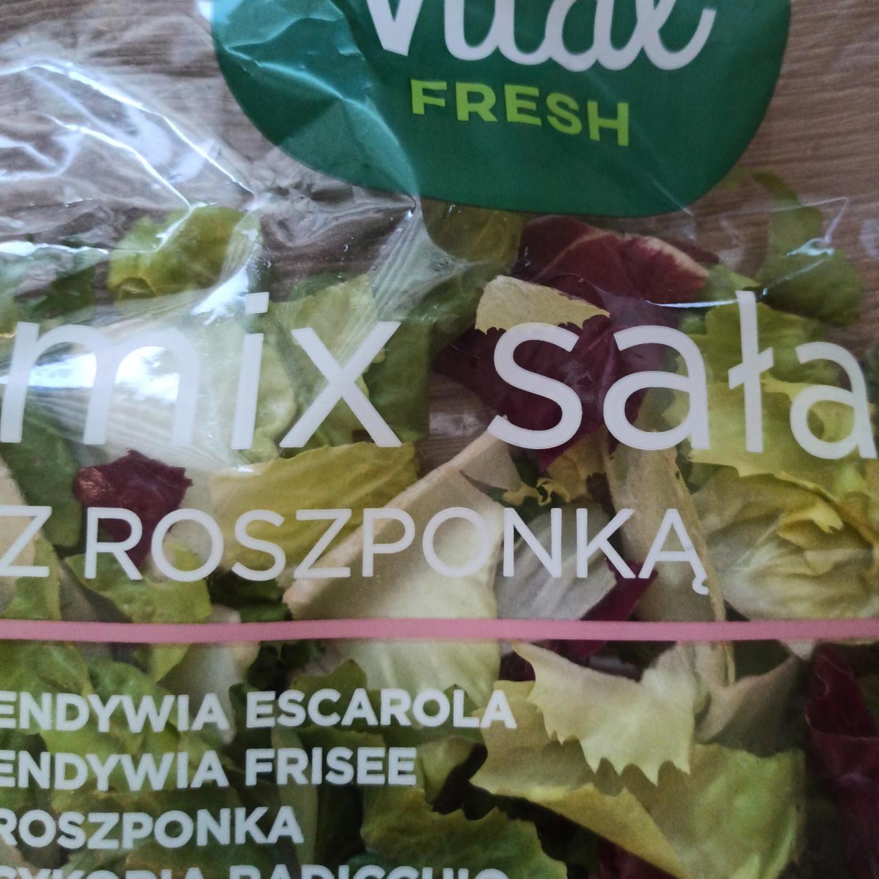 Fotografie - Mix salat z roszponka Vital Fresh