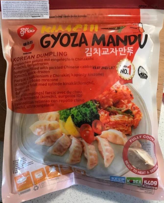Fotografie - Kimchi gyoza mandu korean dumpling (knedlíčky plněné nakládaným kimchi) All groo