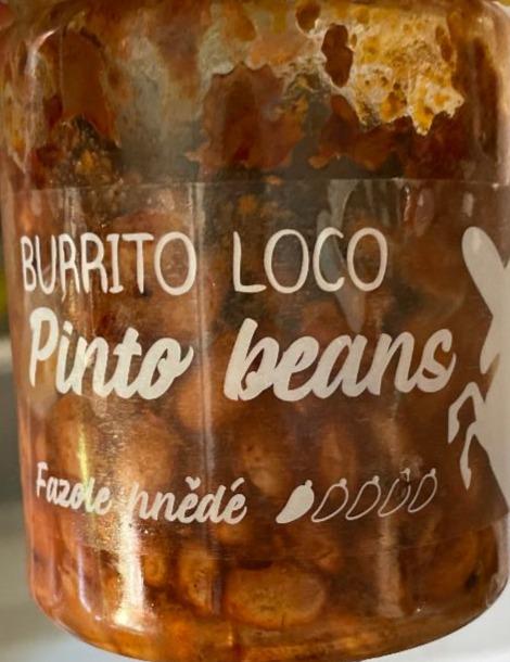 Fotografie - Pinto Beans Burrito Loco
