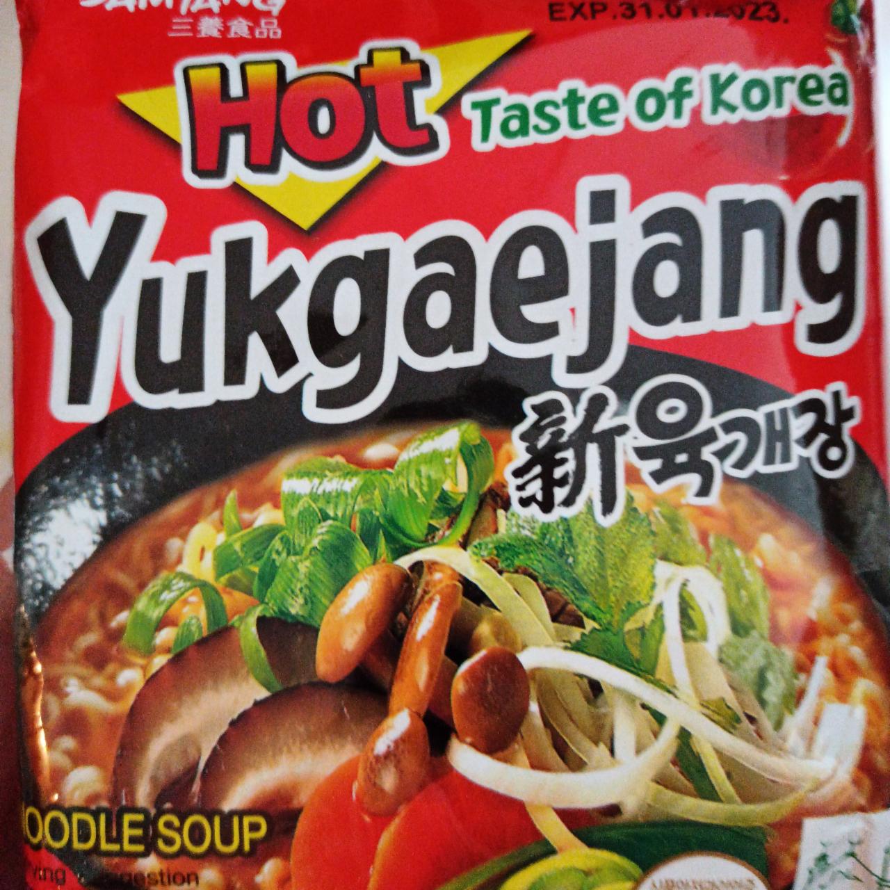 Fotografie - hot taste of Korea Yukgaejang Samyang