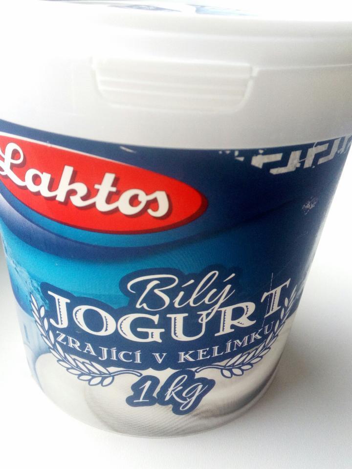 Fotografie - Bílý jogurt zrající v kelímku Laktos
