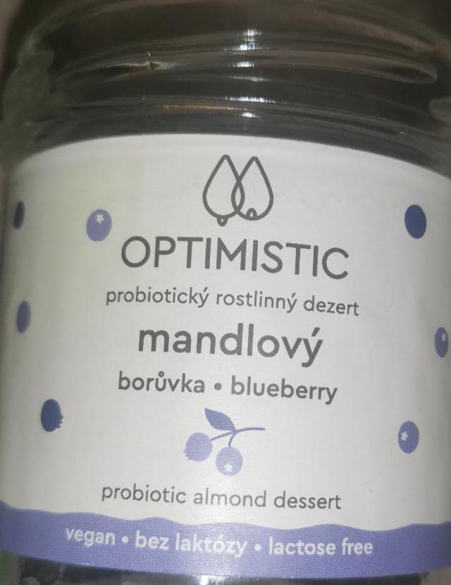 Fotografie - Optimistic probiotický rostlinný dezert Borůvka 