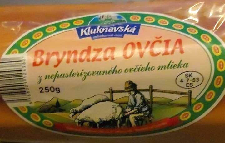 Fotografie - Kluknavská ovčí bryndza 100%