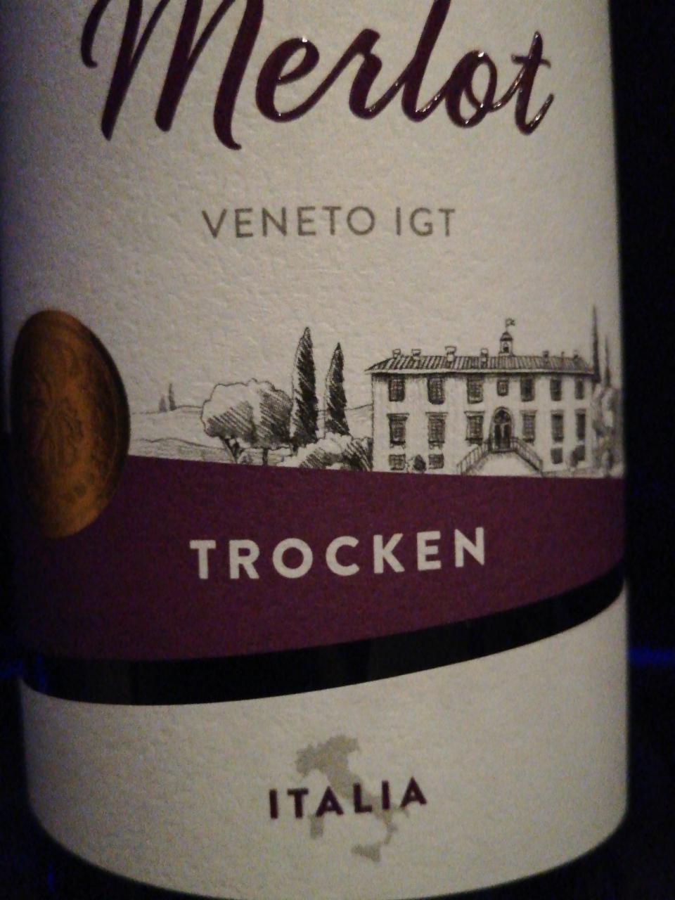 Fotografie - Merlot VENETO IGT trocken Wein