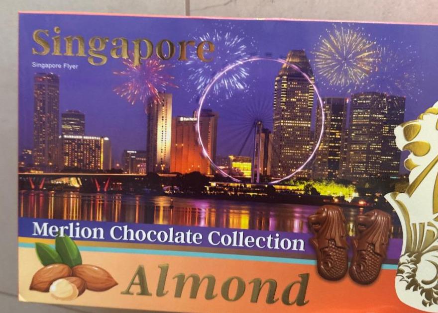Fotografie - Merlion Chocolate Collection Almond Singapore