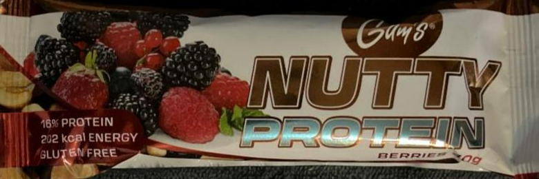 Fotografie - Nutty Protein Berries Gam's