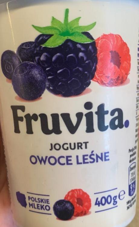 Fotografie - Jogurt owoce leśne FruVita