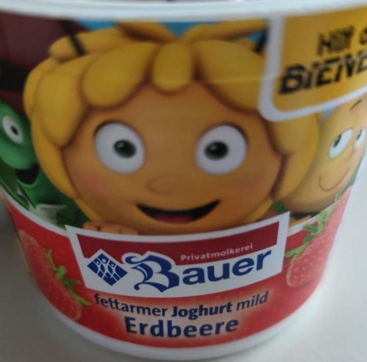 Fotografie - Fettarmer joghurt mild erdbeere Bauer