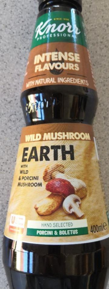 Fotografie - Intense Flavours Wild Mushroom Earth Knorr
