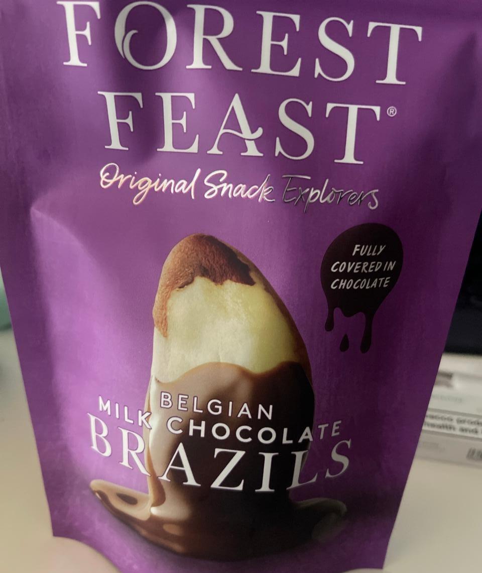 Fotografie - Belgian Milk Chocolate Brazil Nuts Forest Feast