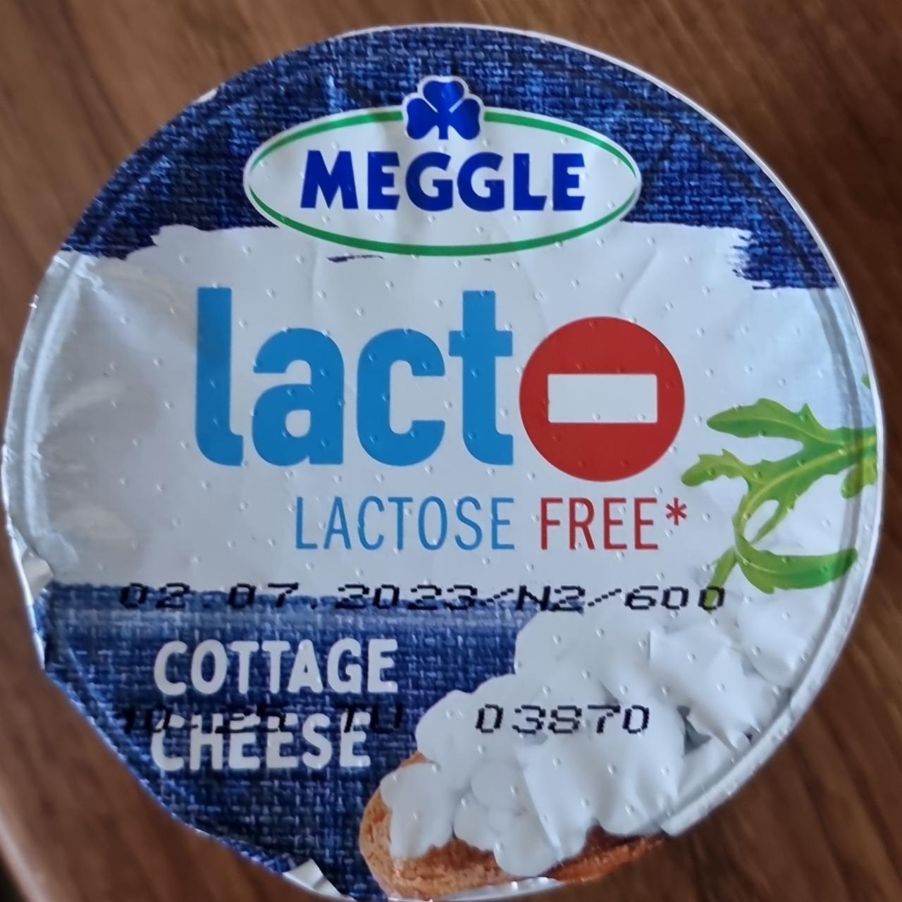 Fotografie - Lacto- Lactose free Cottage Cheese Meggle