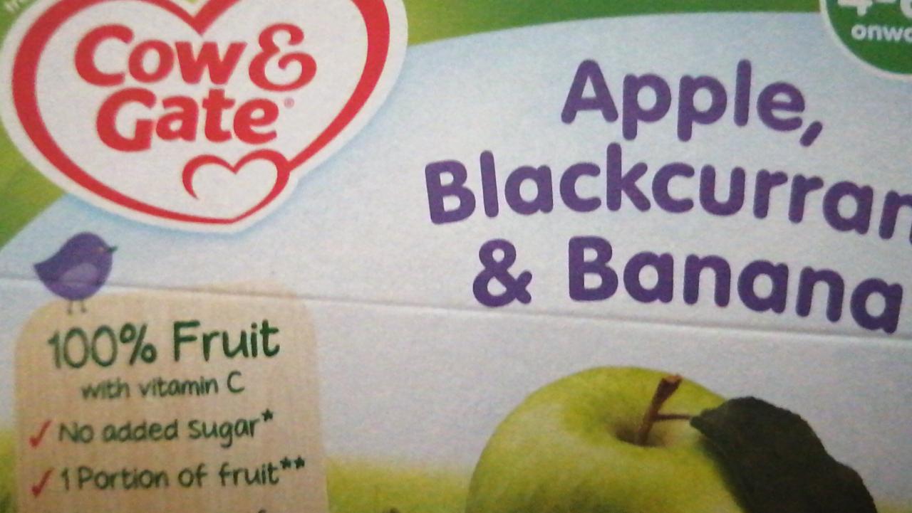 Fotografie - Fruit Cup Apple, Blackcurrant & Banana Cow & Gate