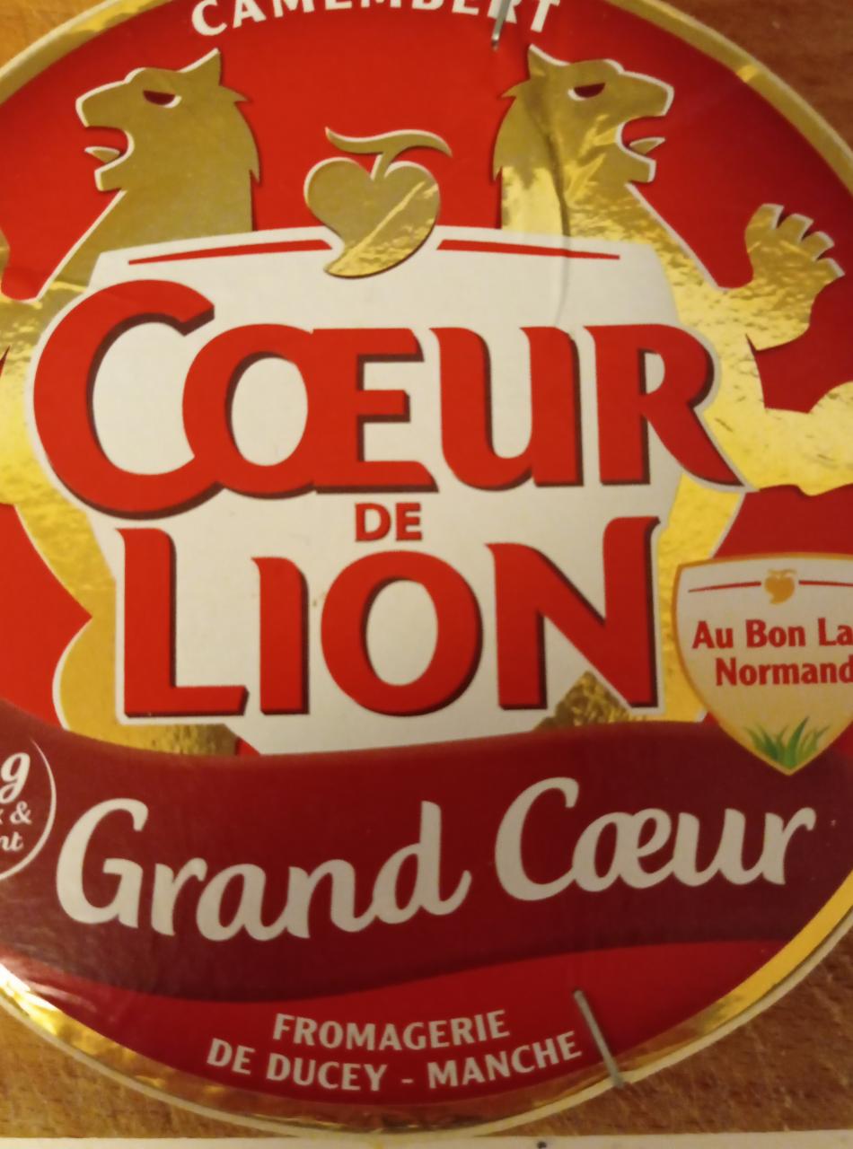 Fotografie - Camembert Grand Cœur de Cœur de Lion