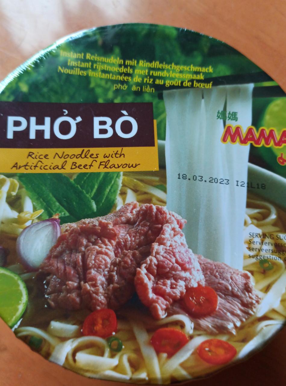 Fotografie - PHO BO rice noodles