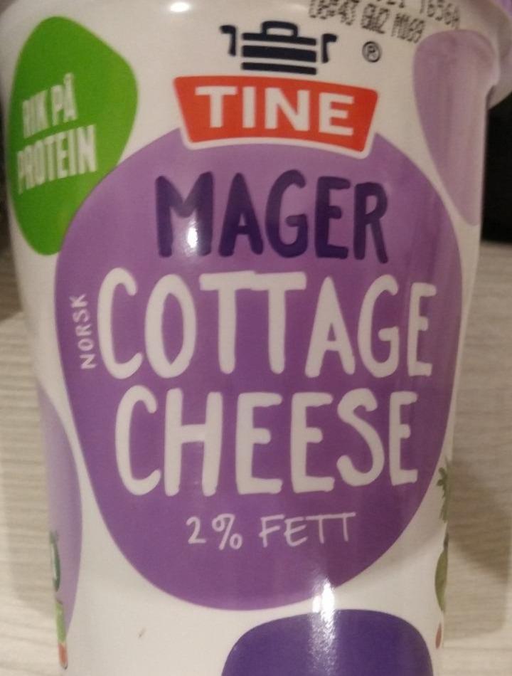 Fotografie - Cottage cheese 2% Tine