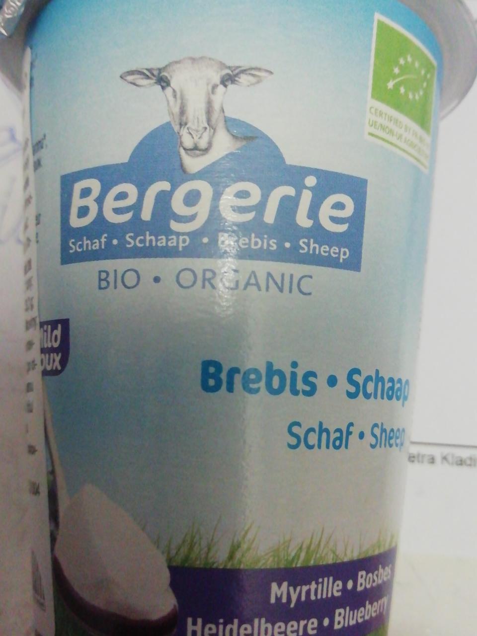 Fotografie - Bio ovčí jogurt borůvka Bergerie