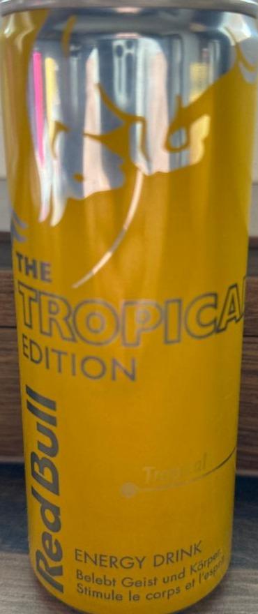 Fotografie - The Tropical edition Energy Drink Red Bull