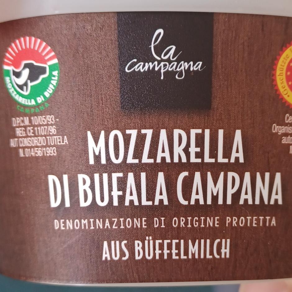 Fotografie - Mozzarella di bufala campana La campagna
