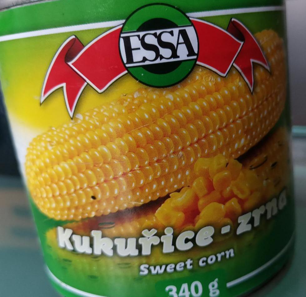 Fotografie - Kukuřice zrna Sweet corn ESSA