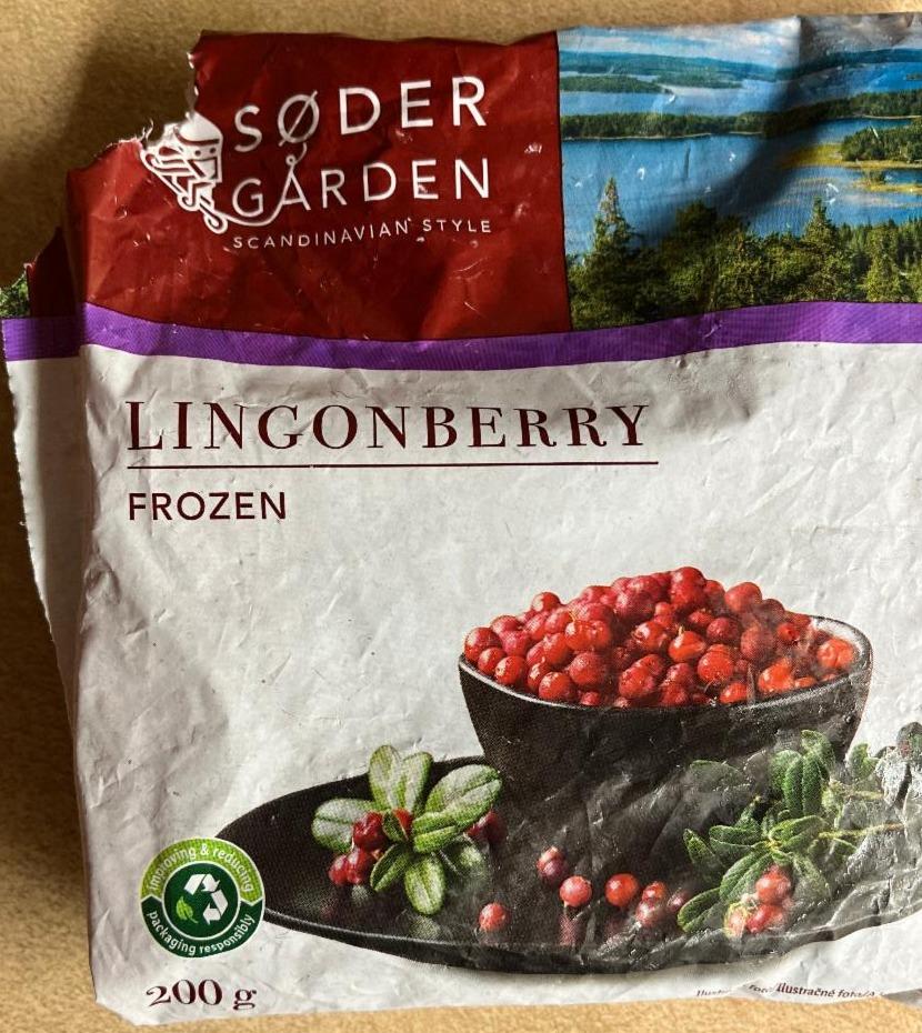 Fotografie - Lingonberry frozen Sødergården