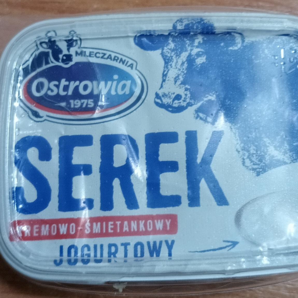 Fotografie - Serek kremowo-śmietankowy jogurtowy Mleczarnia Ostrowia