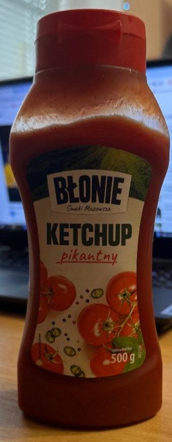 Fotografie - Ketchup pikantny Błonie