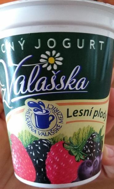 Fotografie - Ovocný jogurt z Valašska Lesní plody
