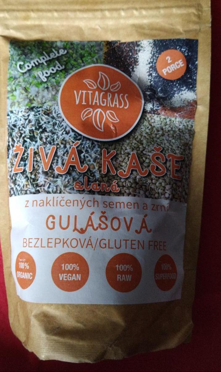 Fotografie - Živá kaše slaná z naklíčených semen a zrní Gulášová Vitagrass