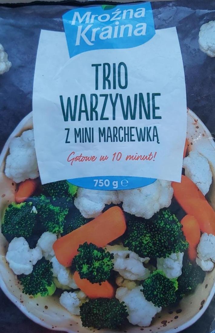 Fotografie - Trio Warzywne z mini marchewką Mroźna Kraina