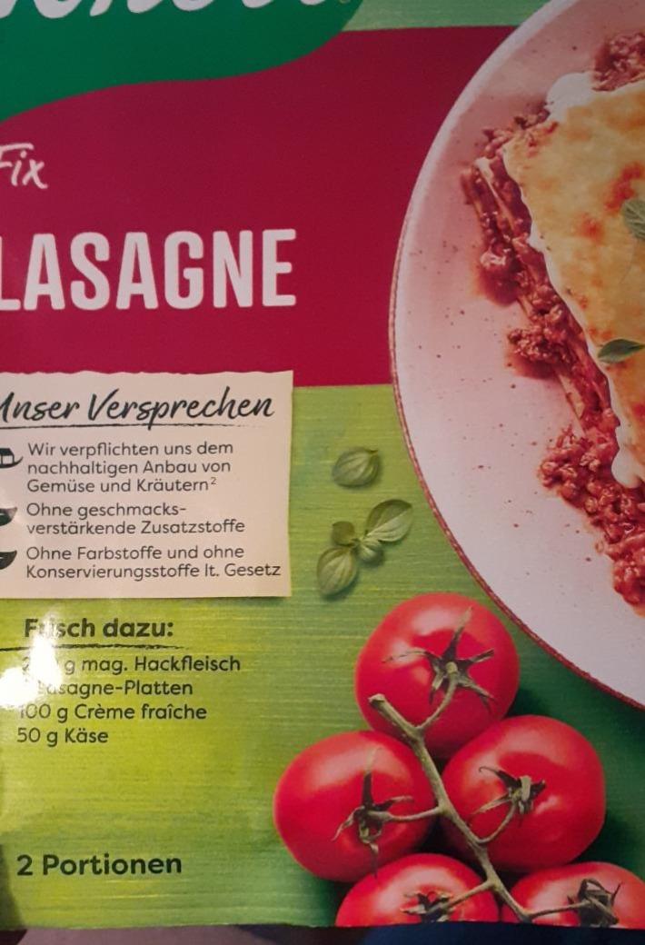 Fotografie - Lasagne Fix Knorr