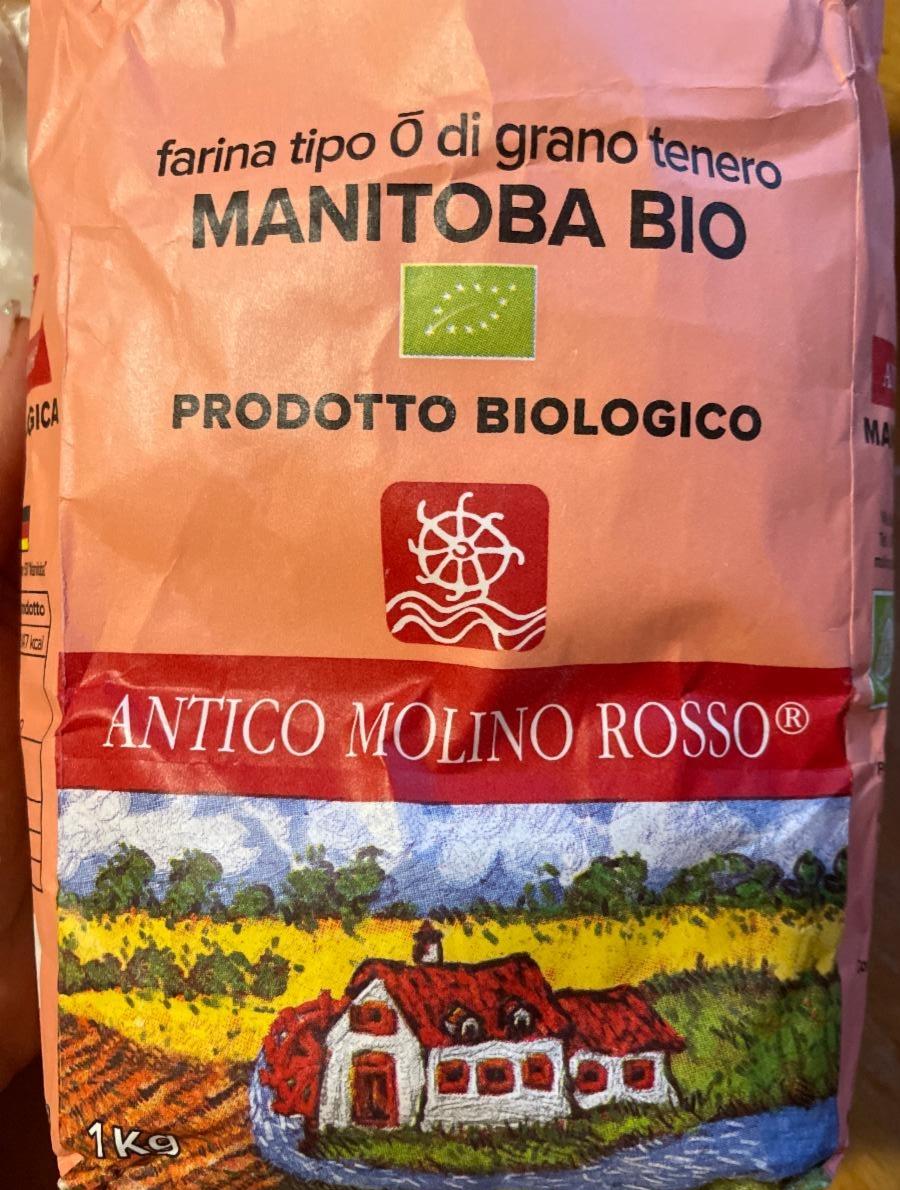 Fotografie - Farina Manitoba Bio Antico Molino Rosso